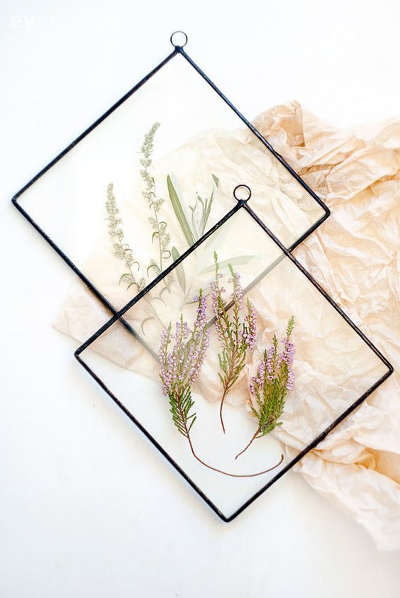 Evinize yeşiller katmanın bir başka yolu. Harika bir kendin yap projesi!