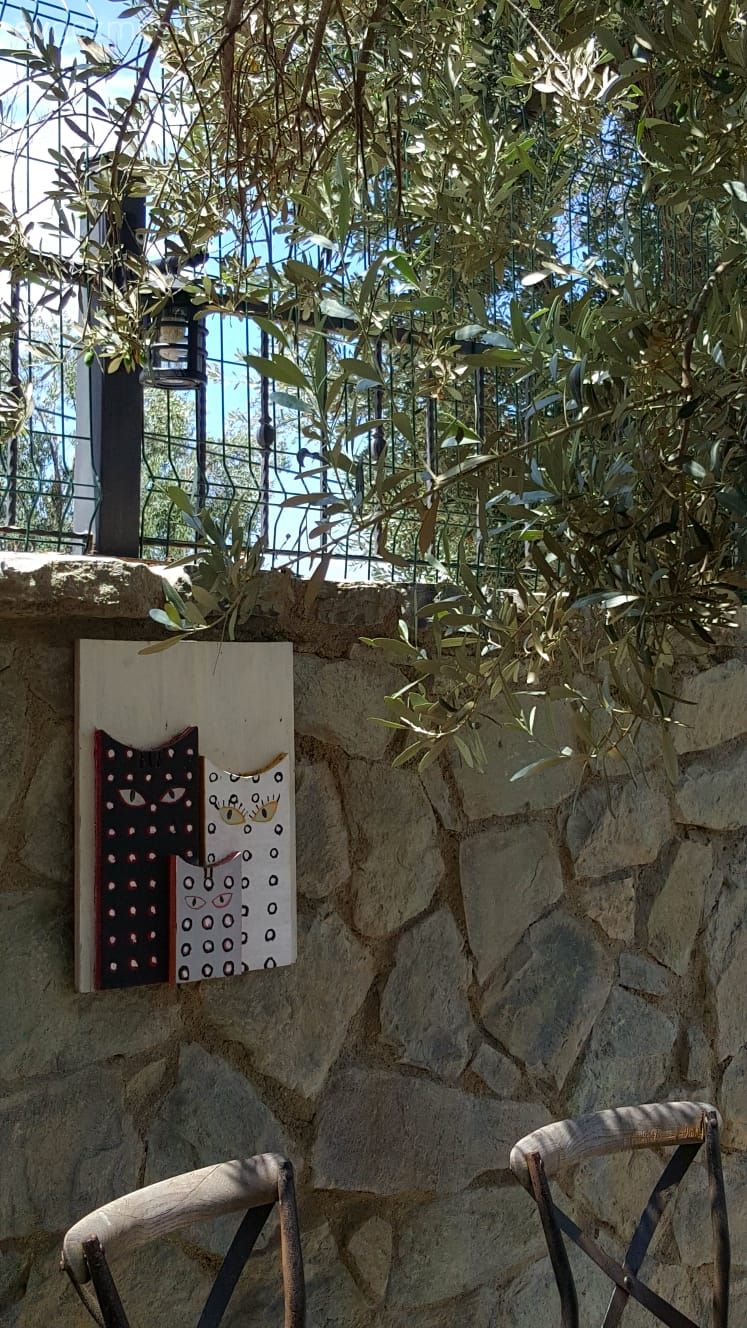 40 yıllık arkadaşlarla beraber mutlu bir yaşam. Zeytin Sitesi'ne konuğuz..