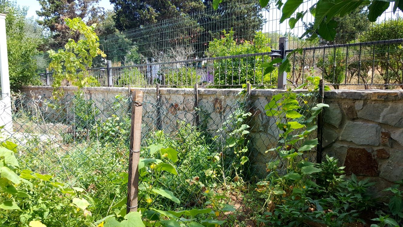 40 yıllık arkadaşlarla beraber mutlu bir yaşam. Zeytin Sitesi'ne konuğuz..