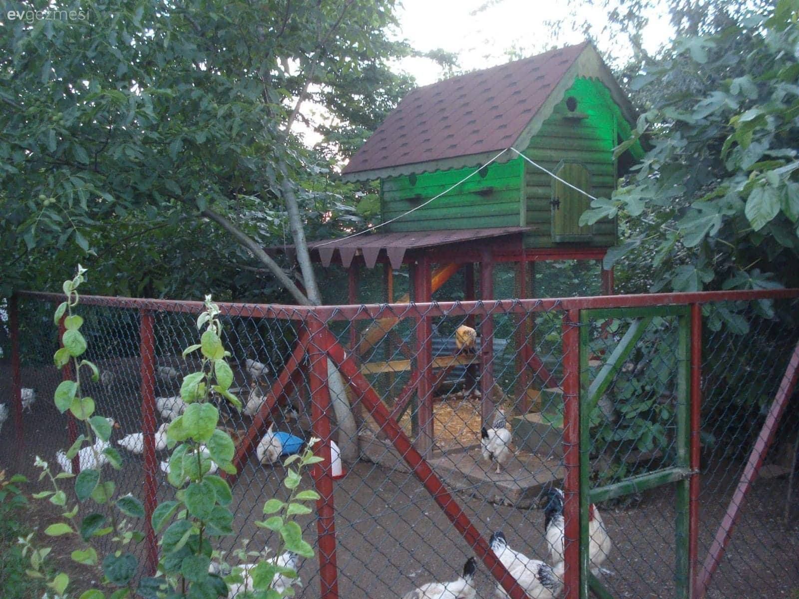 Rengarenk çiçekleri ile sanki cennetten bir köşe. Yasemin hanımın evi ve bahçesi..