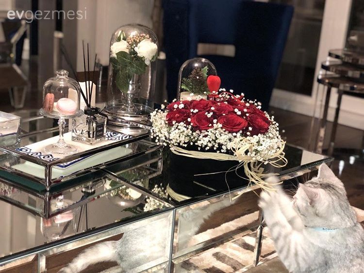 Salon, Orta sehpa, Dekoratif Objeler, Aynalı mobilya