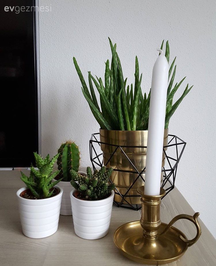 Sıcak ve konforlu bir ev: Semra hanımın keyifli evi..