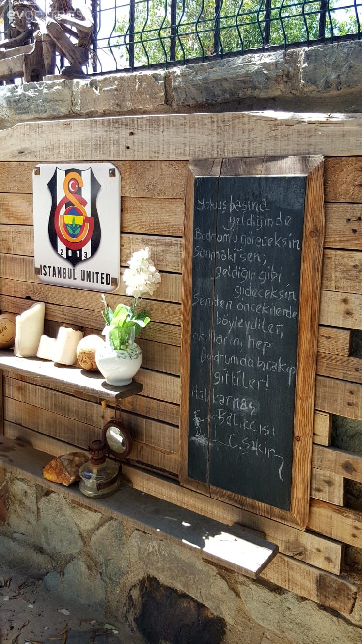 40 yıllık arkadaşlarla beraber mutlu bir yaşam. Zeytin Sitesi'ne konuğuz..