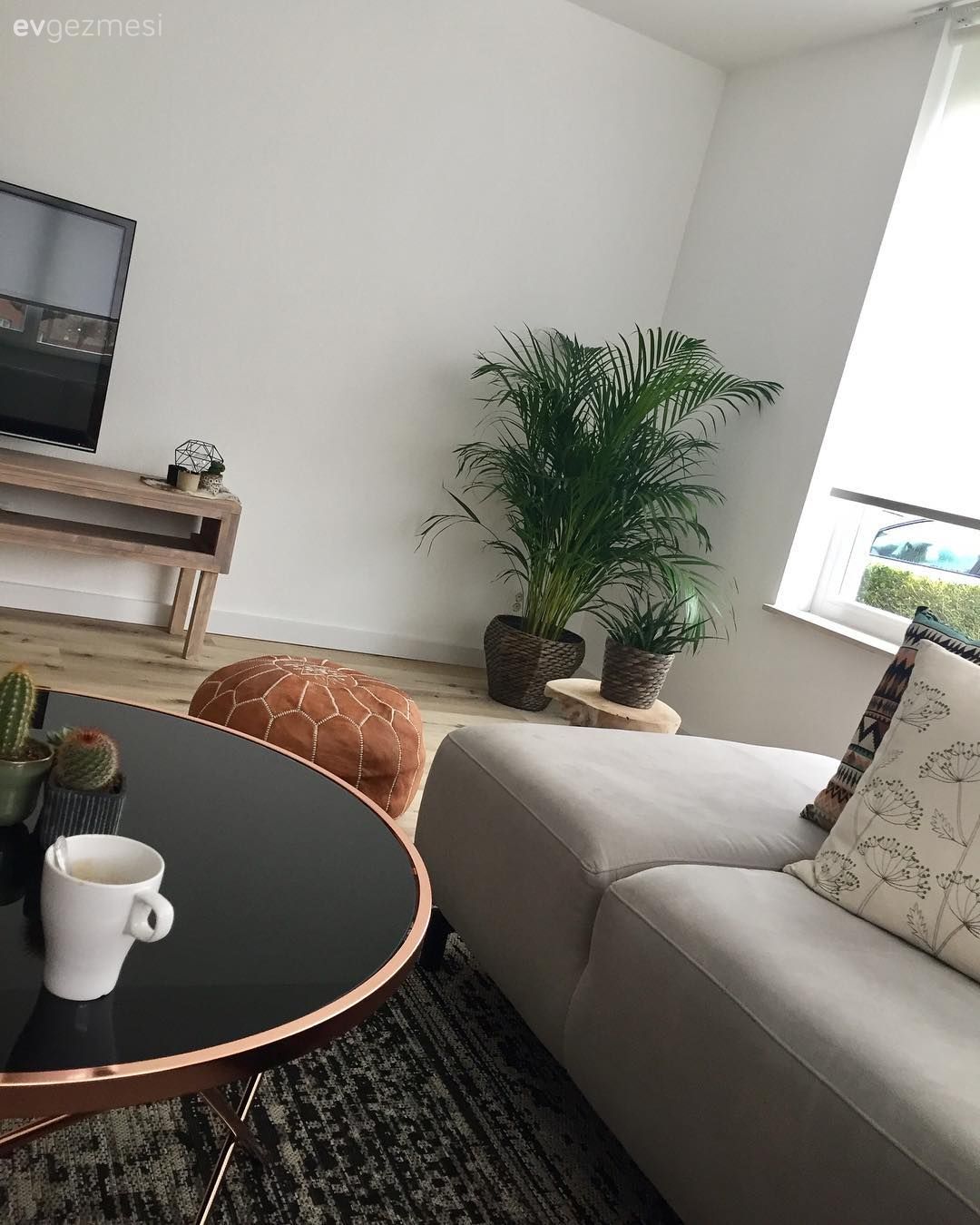 Salon, Tv ünitesi, Orta sehpa, Çiçekler