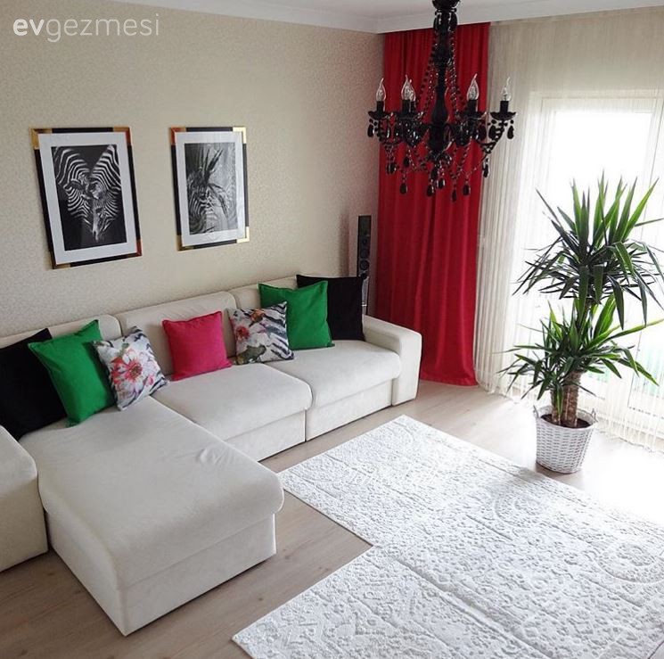 Fon perde, Halı, Pembe, Salon, Siyah, Tablo, Yeşil, Perde, Kırlent