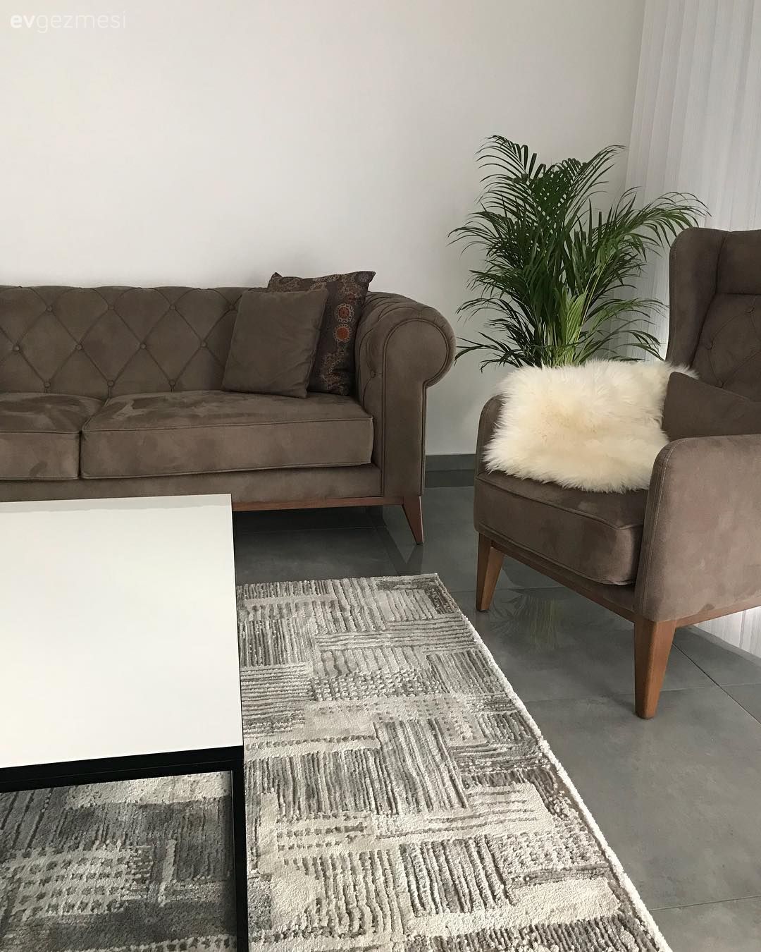 Salon, Berjer, Kahverengi, Orta sehpa, Enza Home, Halı