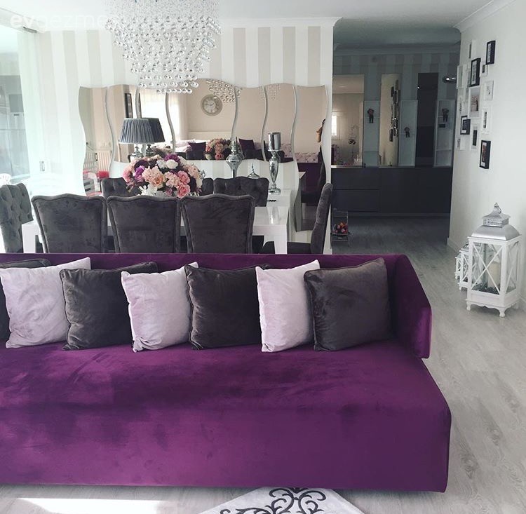 Ayna, Mor, Salon, Yemek Odası
