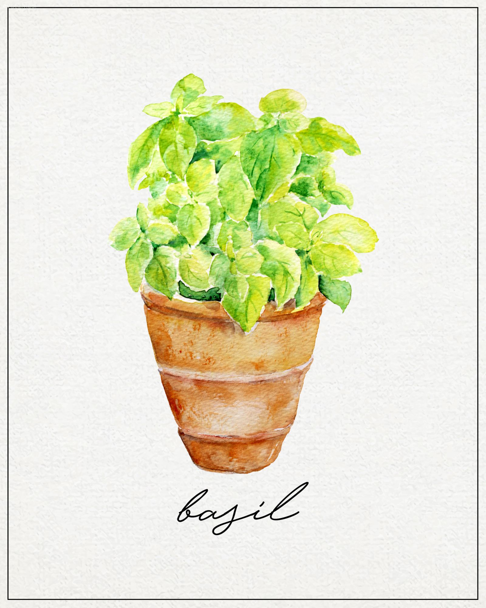 Bedava Baskılardan Tablo:  Bitki Çizimleri ile Harika Duvar Dekorları!