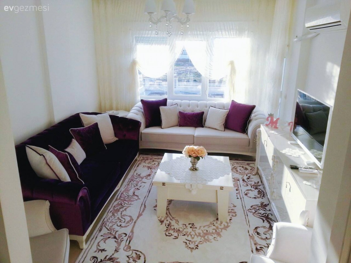 Halı, Mor, Perde, Salon