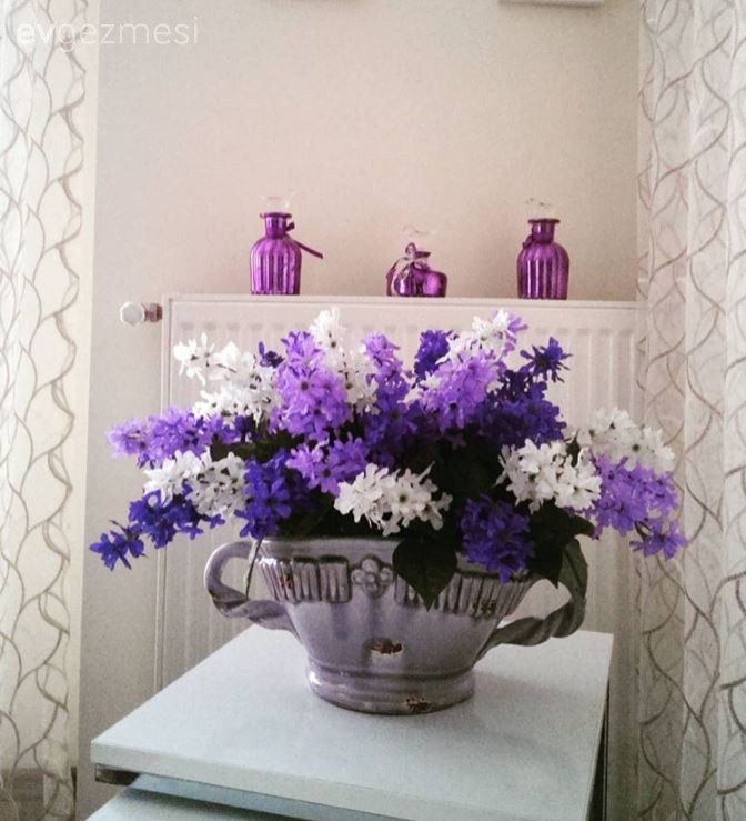 Çiçekler, Mor, Salon