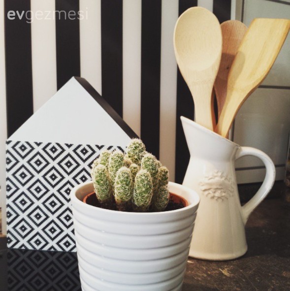 Mutfak, Siyah- Beyaz