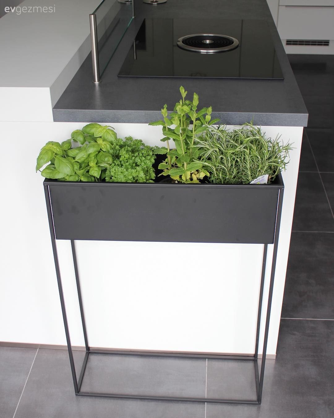 Yeşilin Sofistike Tonlarıyla Derinlik Kazanan Modern Bir Ev