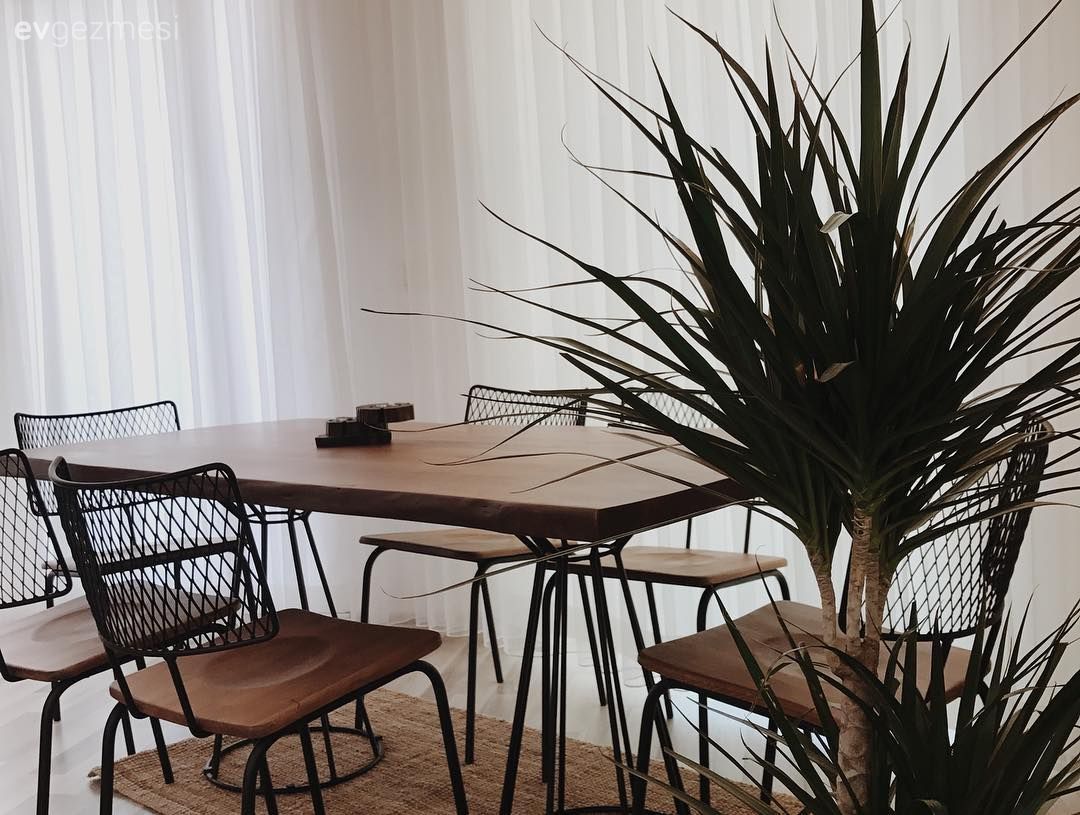 Doğallığın Huzur Veren Hissi. Sade ve Davetkar bir Ev