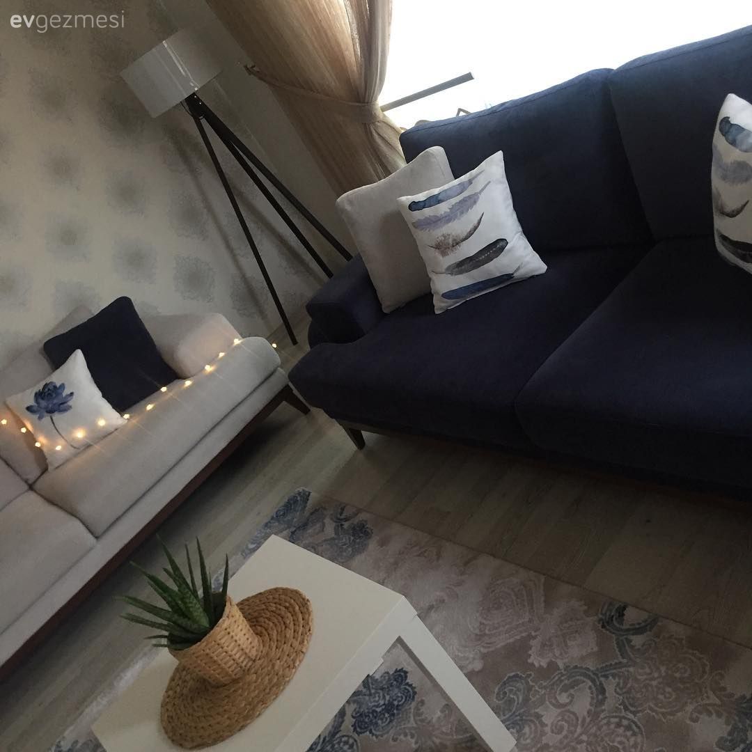 Lambader, Krem, Lacivert, Duvar kağıdı, Oturma Odası