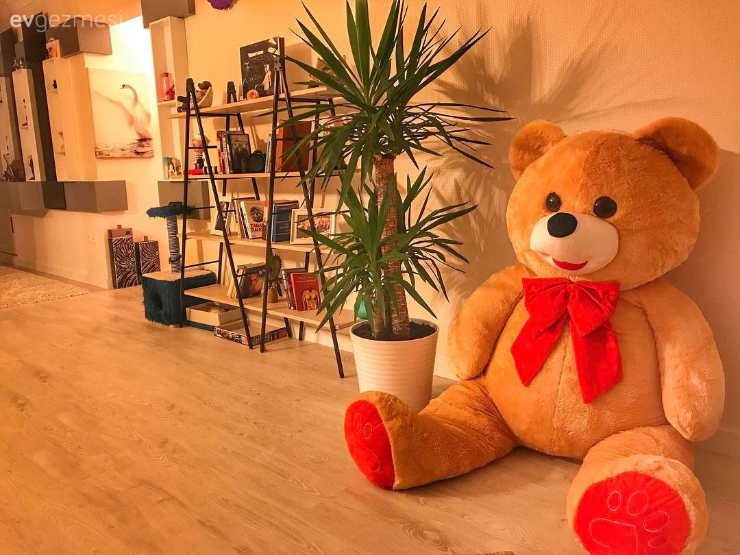 Yuvarlak hatlar, sıcak renklerle mutlu ve samimi bir ev..