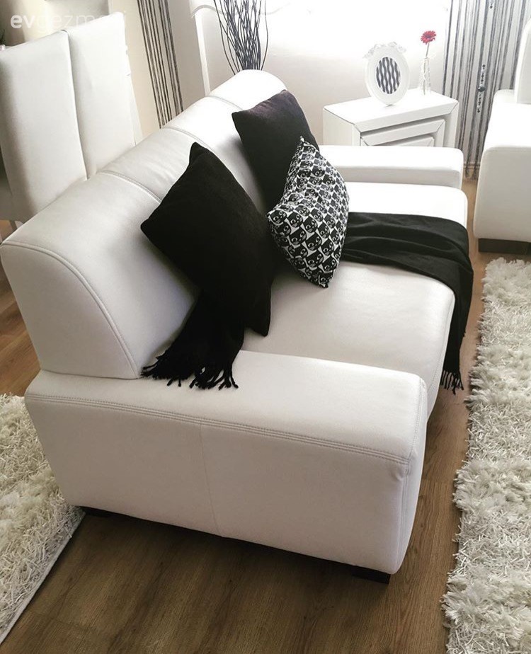 Beyaz, Salon, Siyah- Beyaz, Kırlent