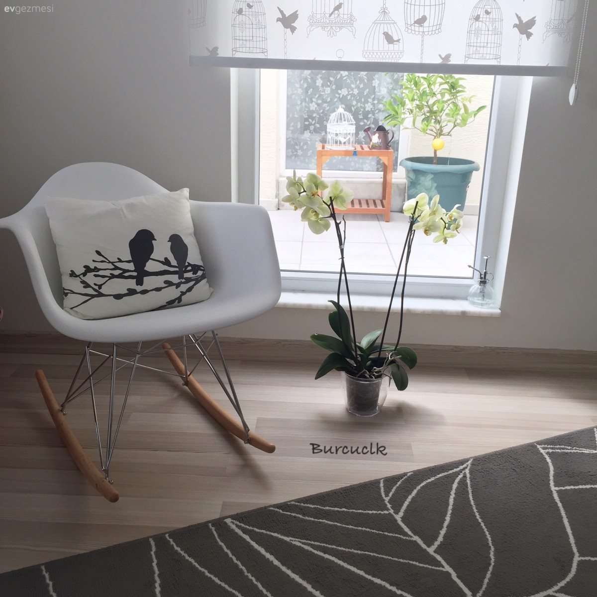 Burcu hanımın modern stilde, zevkli evi..