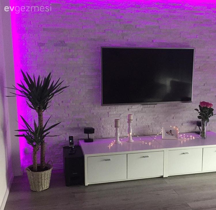 Salon, Taş duvar, Tv ünitesi