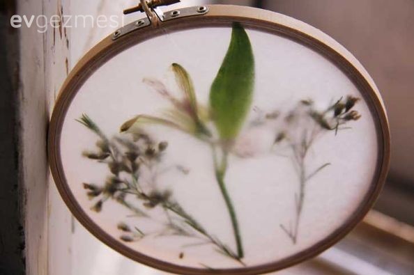 Kuruttuğunuz çiçeklerler ve kasnaktan duvar dekoru projesi..