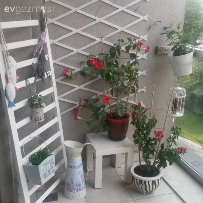 Balkon, Beyaz, Çiçekler, Kırmızı