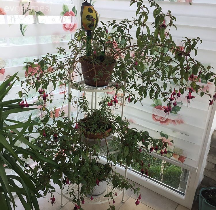 Aksesuarlarla kimlik kazanan bir ev. Şule hanımdan..