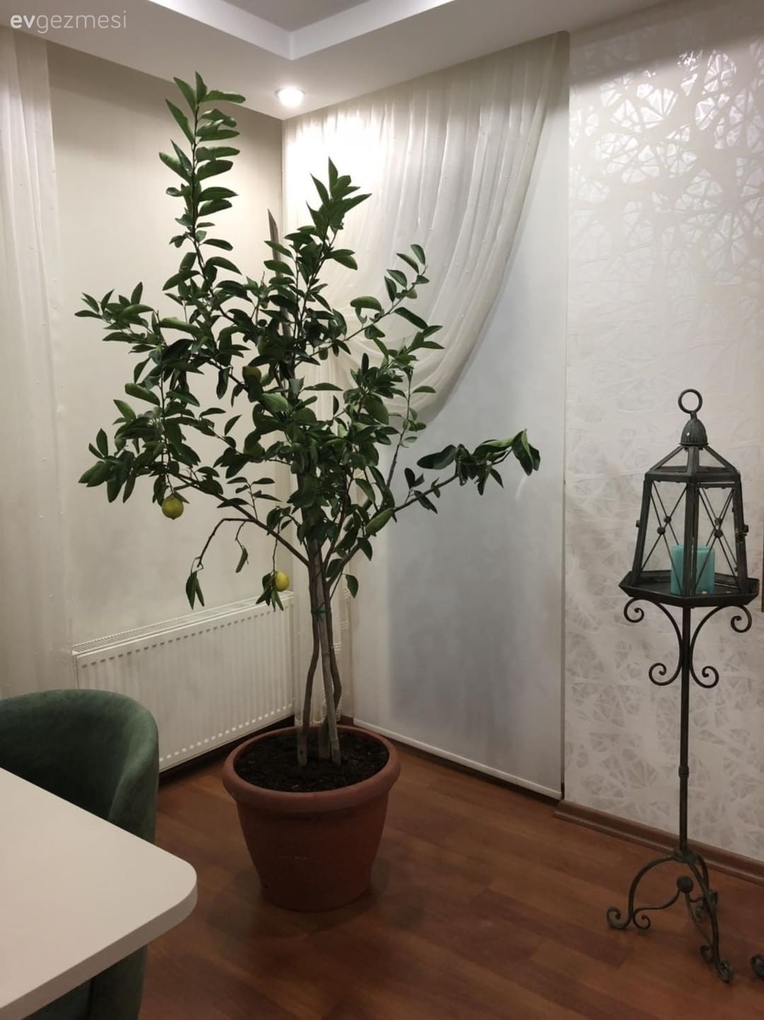 Salon Değil Sanki Galeri. Aksesuarlarıyla Kimlik Kazanan Bir Ev