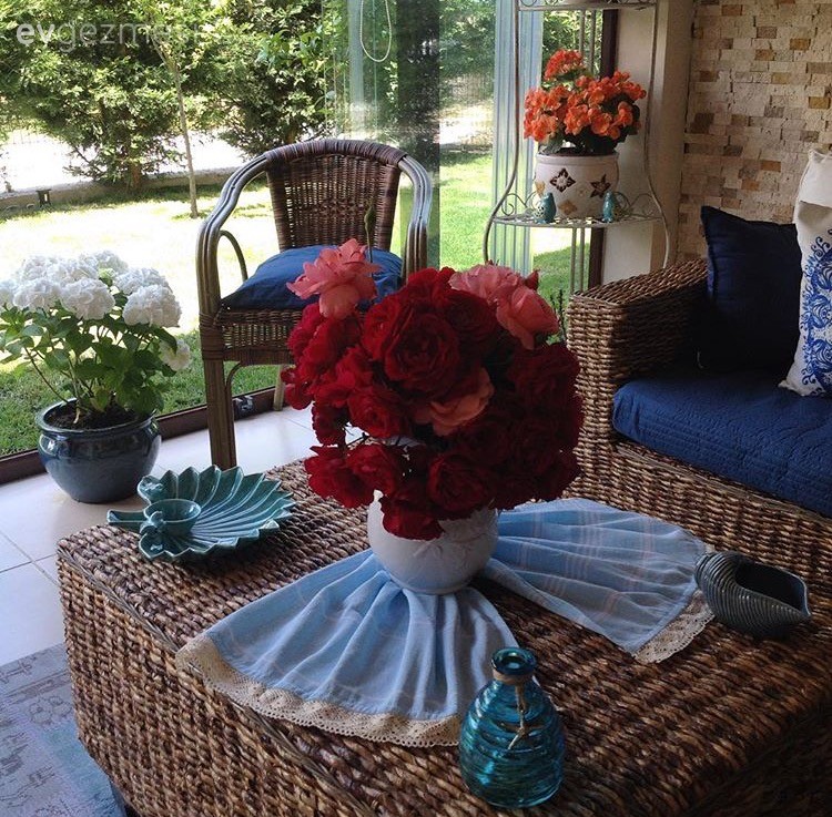 Balkon, Çiçekler, Mavi