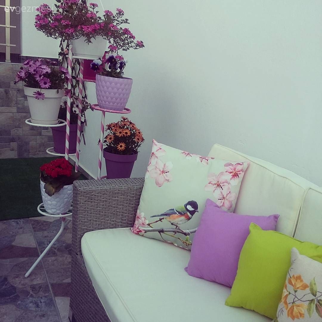 Bahçe, Çiçeklik, Mor