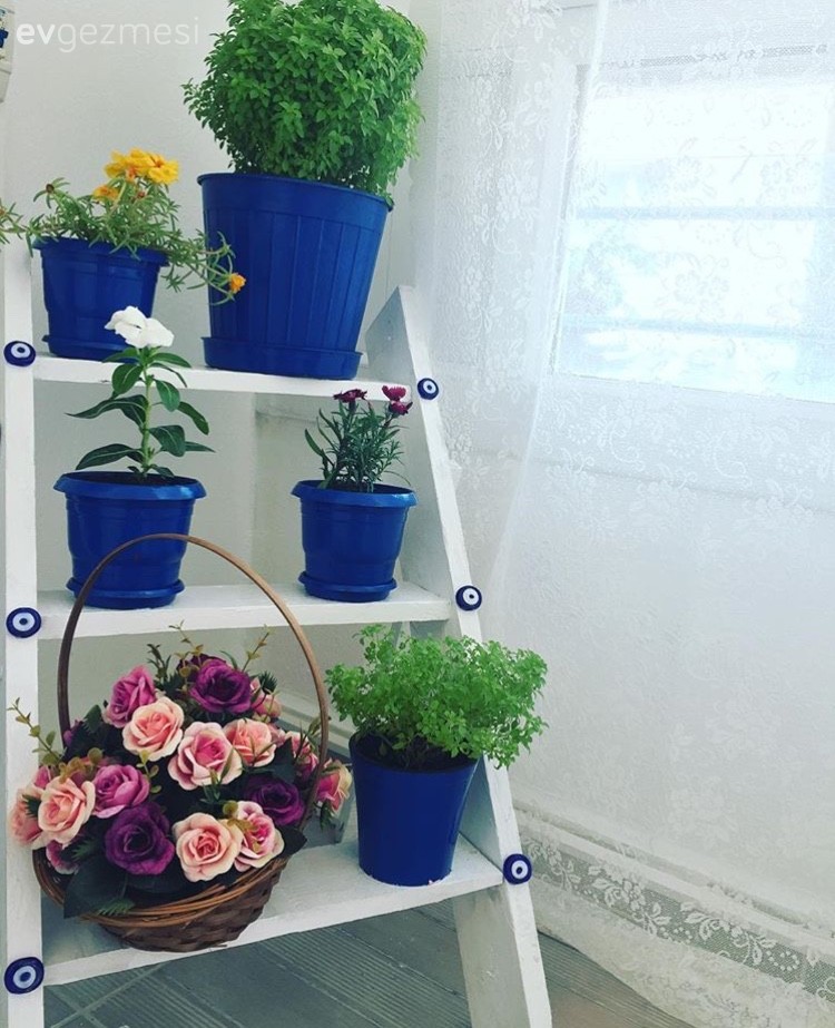 Çiçeklik, Kendin Yap, Mavi