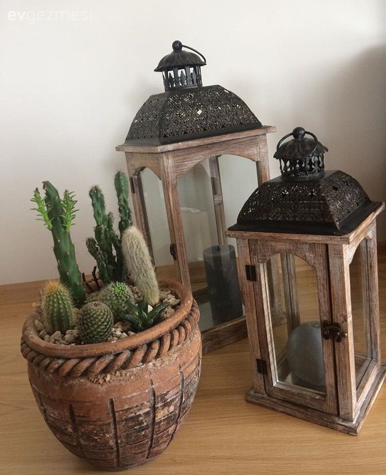 Ahşap Mobilya, Çiçekler, Salon