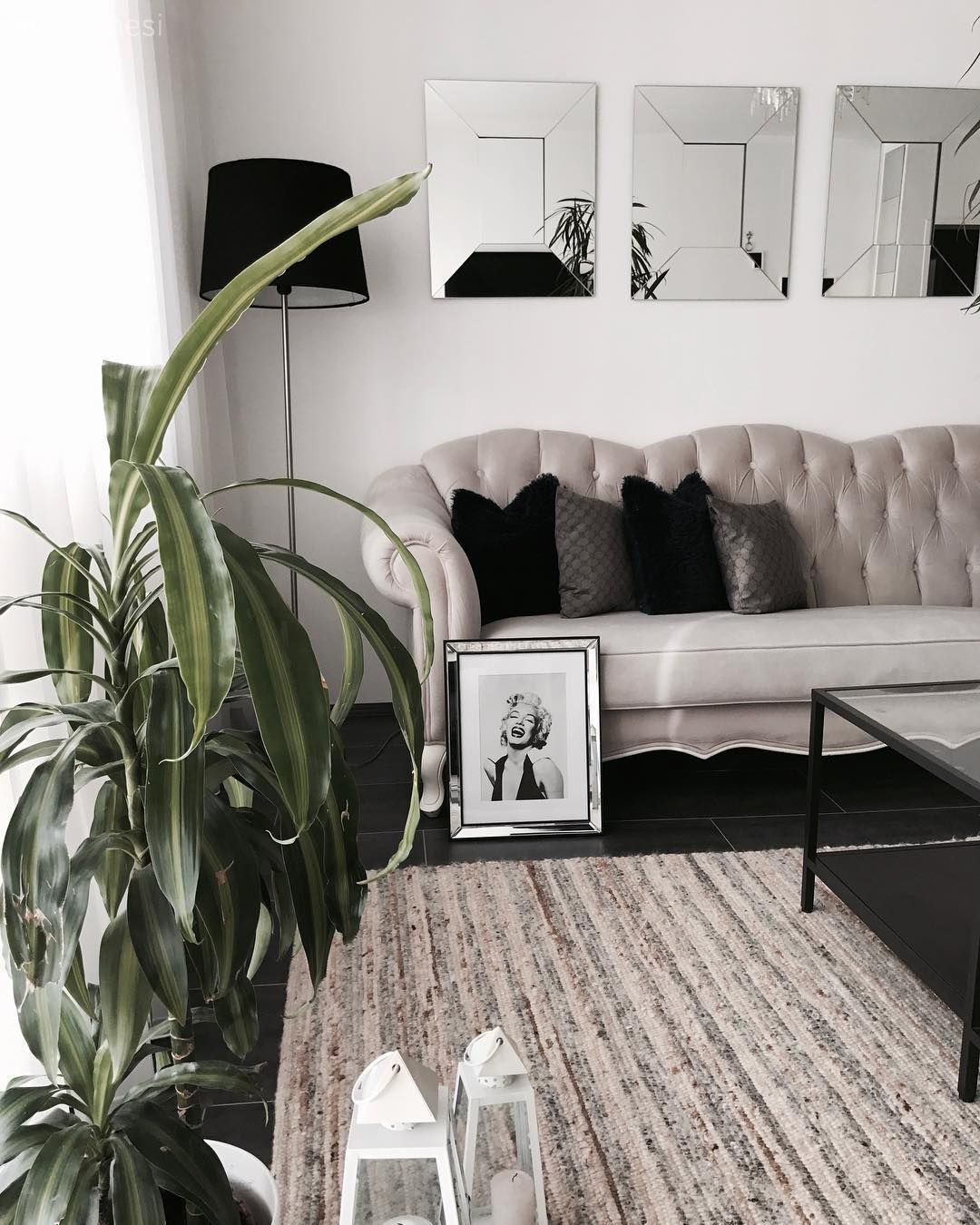 Salon, Halı, Krem, Ayna, Ev bitkisi, Ayna çerçeve, Dekoratif ayna