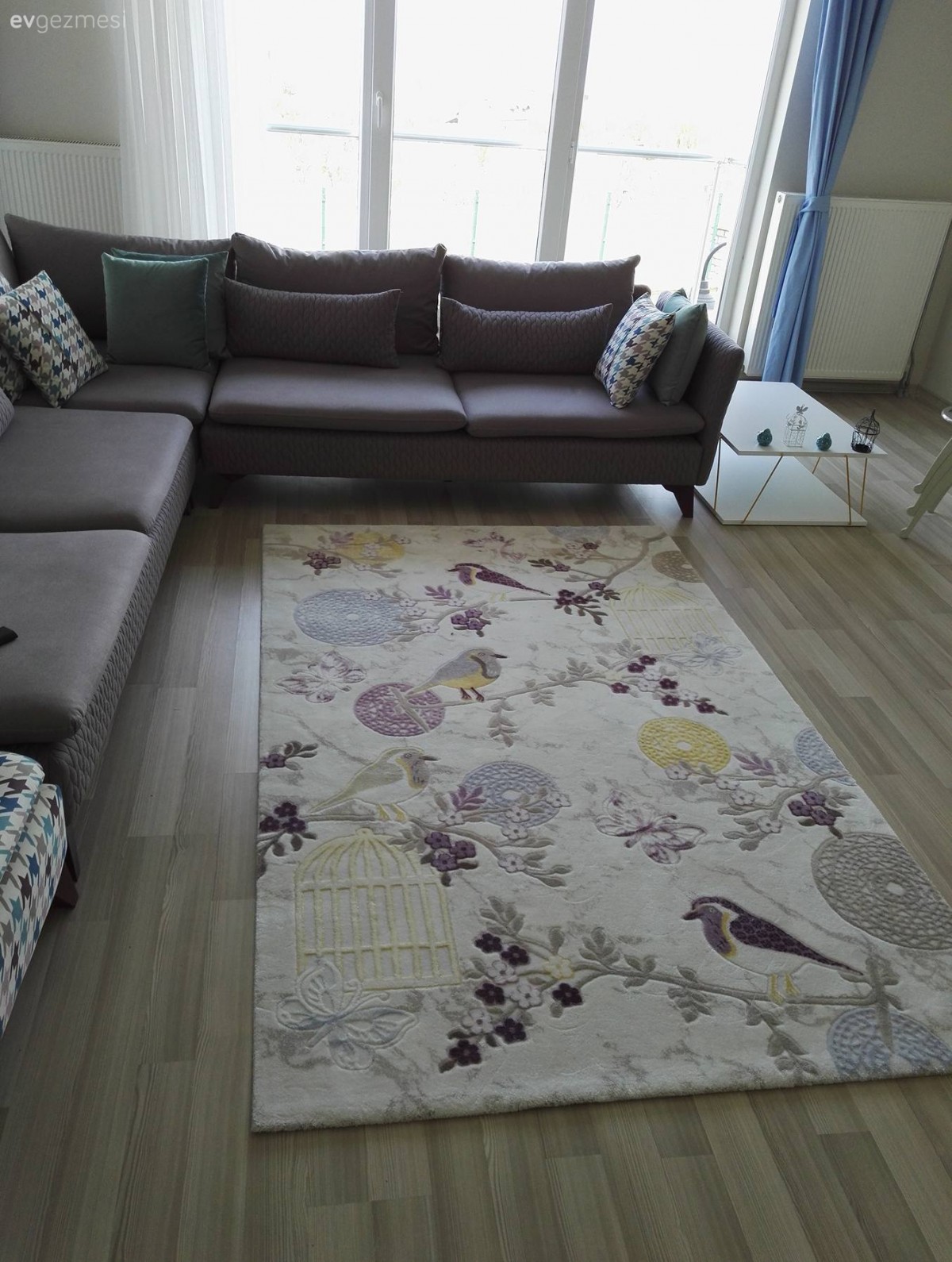 Gri, Halı, Köşe koltuk, Mavi, Salon