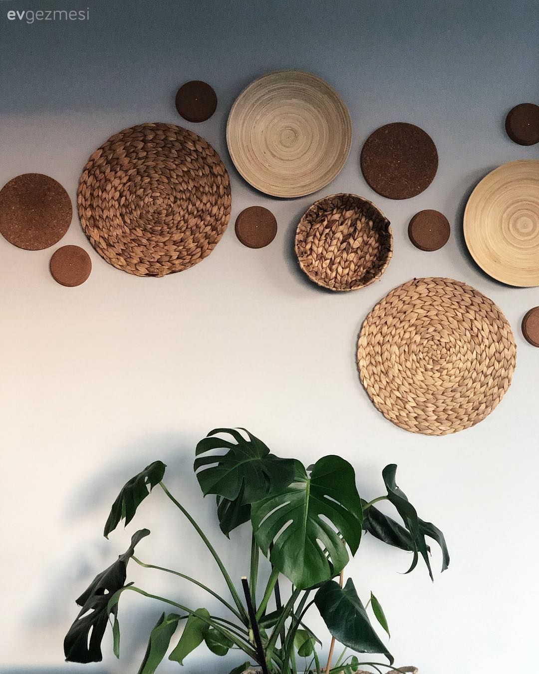 İstanbul'da Bir Şehir içi Ormanı: Yüksek Katta Bir Minik Cennet 