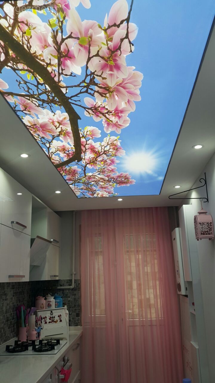 Beyaz mutfak, Gergi tavan, Mutfak, Pembe