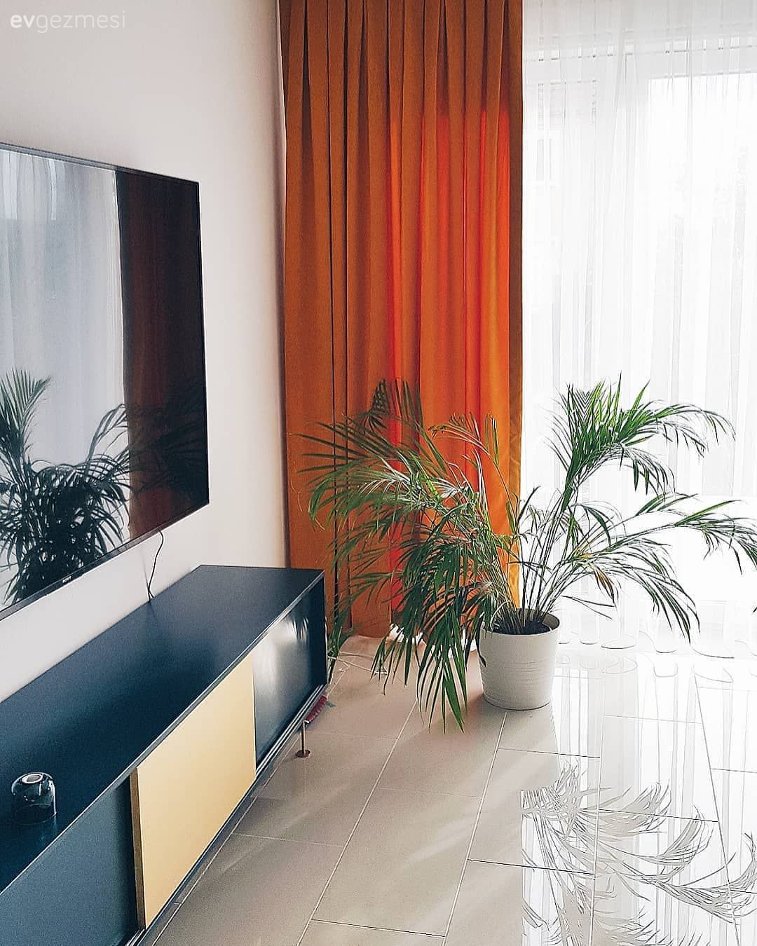 Tv ünitesi, Ev bitkisi, Fon perde, Turuncu, Salon