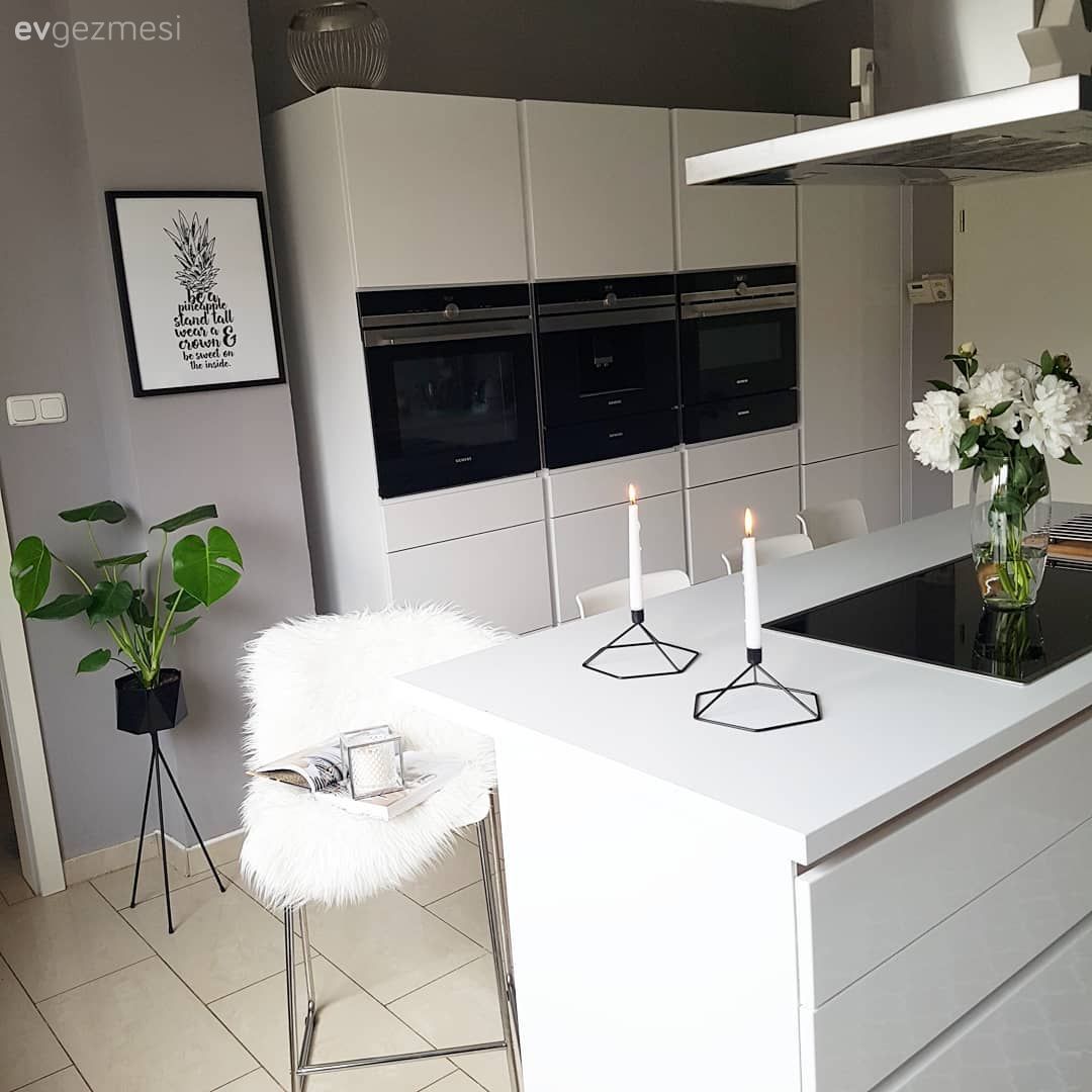 Gri duvar, Gri, Mutfak, Beyaz mutfak, Modern mutfak, Çiçeklik, Duvar dekorasyonu, Davlumbaz, Kulpsuz mutfak dolabı, Ada mutfak