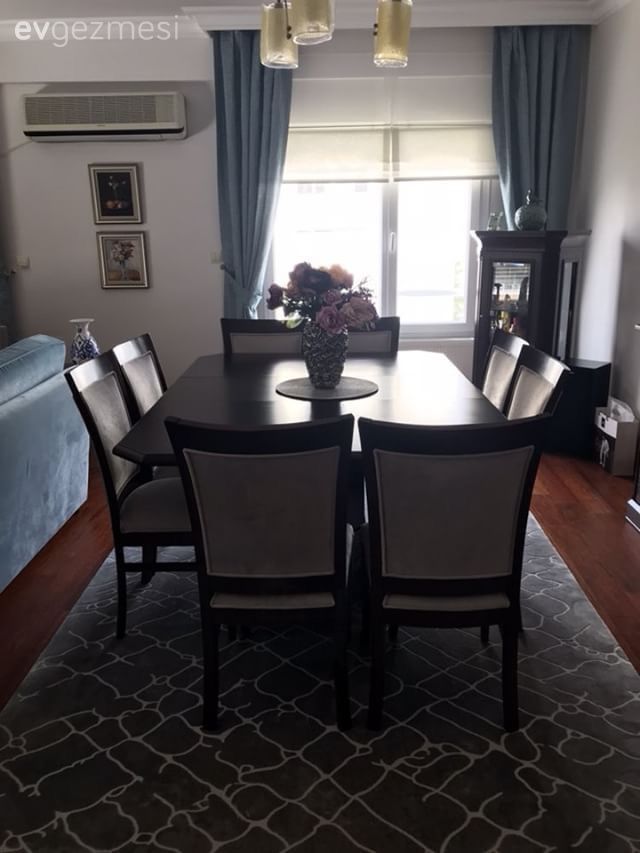 Yemek Odası, Salon, Halı, Mavi