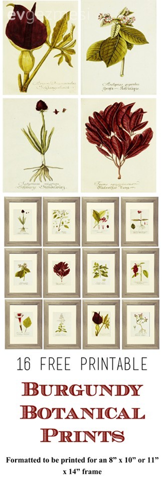 Doğayı evinizi getirecek bedava botanik posterler