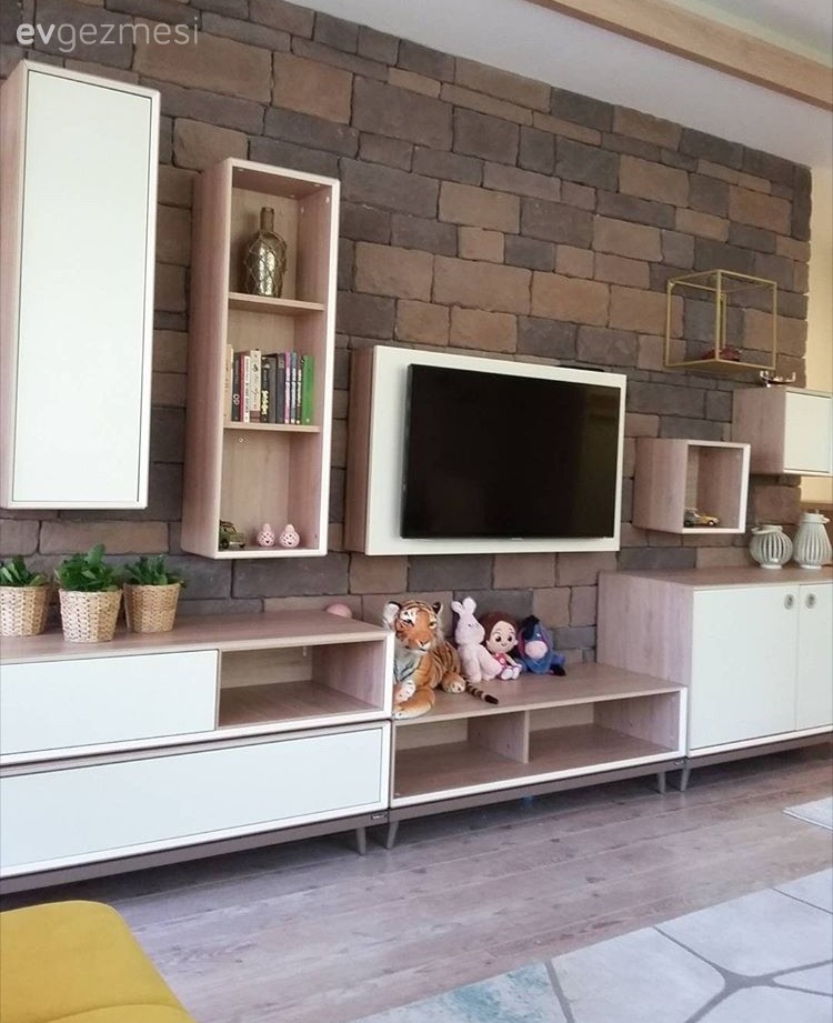 Oturma Odası, Tv ünitesi