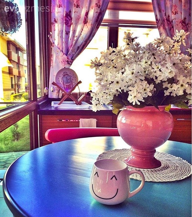 Çiçekler, Mutfak, Pembe