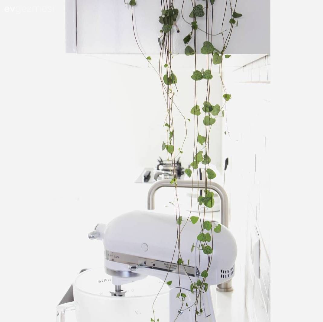 Işıl ışıl bir ev, minimalist bir dekor. Sadeliğin sıradışı şıklığı!