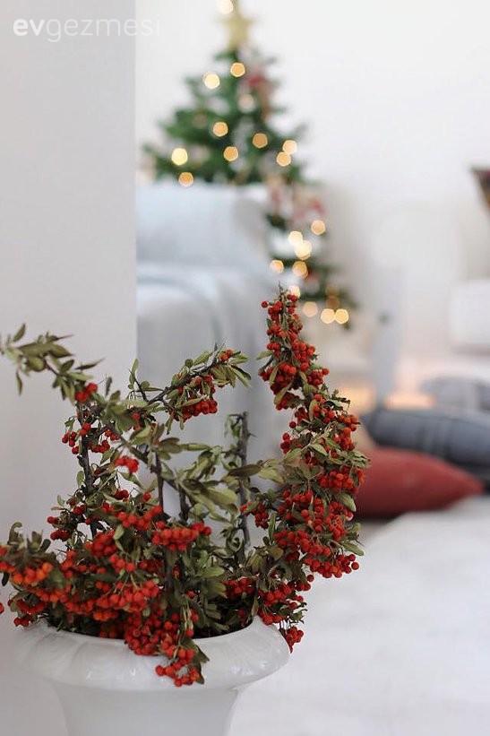 Dekoratif Objeler, Kırmızı