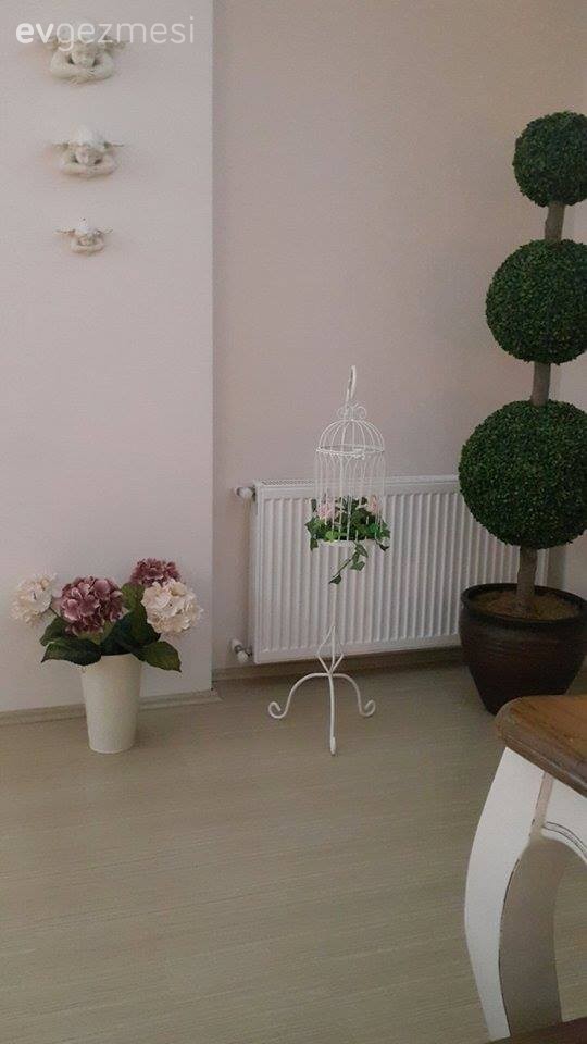 Dekoratif Objeler, Salon