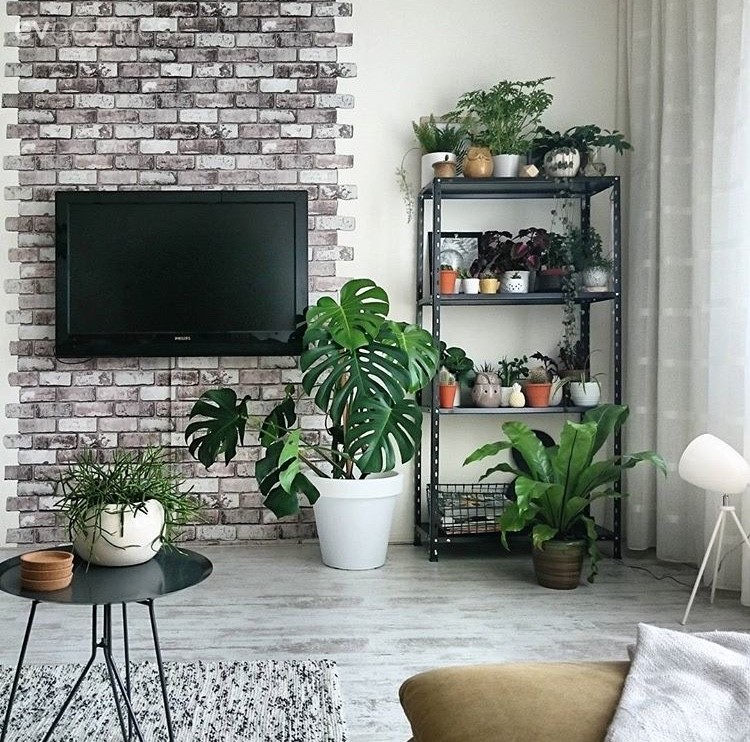 Çiçekler, Duvar rafı, Salon, Taş duvar, Tv ünitesi