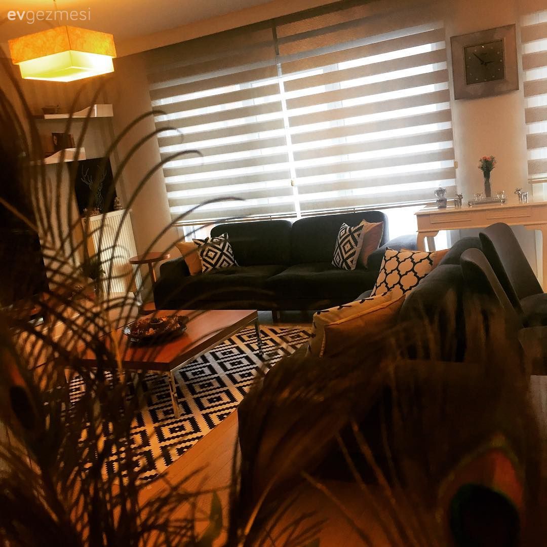 Avize, Halı, Orta sehpa, Perde, Salon, Siyah- Beyaz, Yeşil