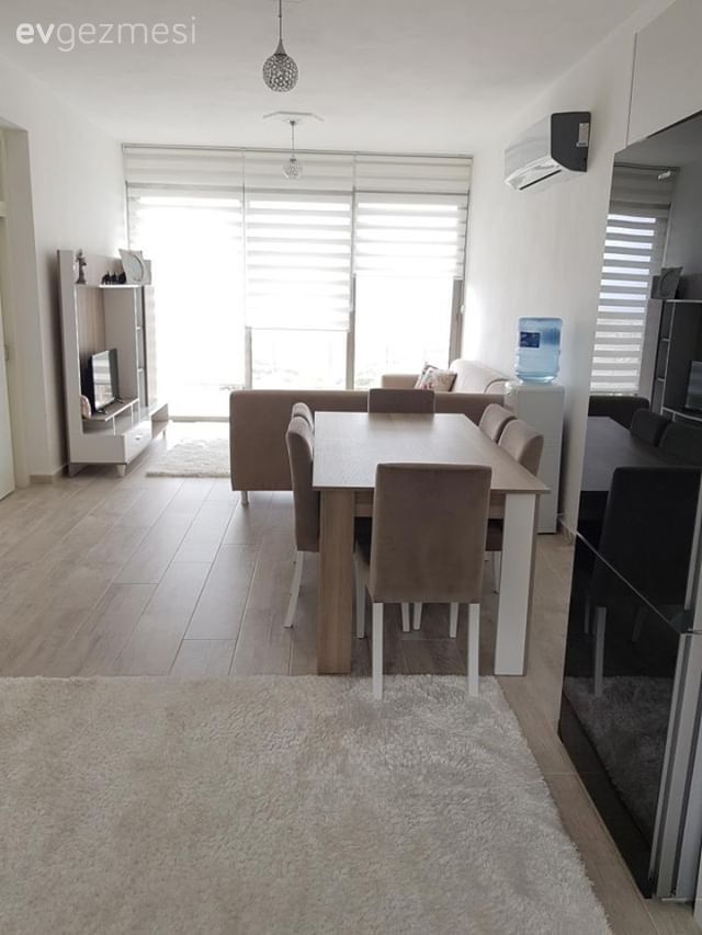 Halı, Amerikan Mutfak, Mutfak, Cam beyaz eşya