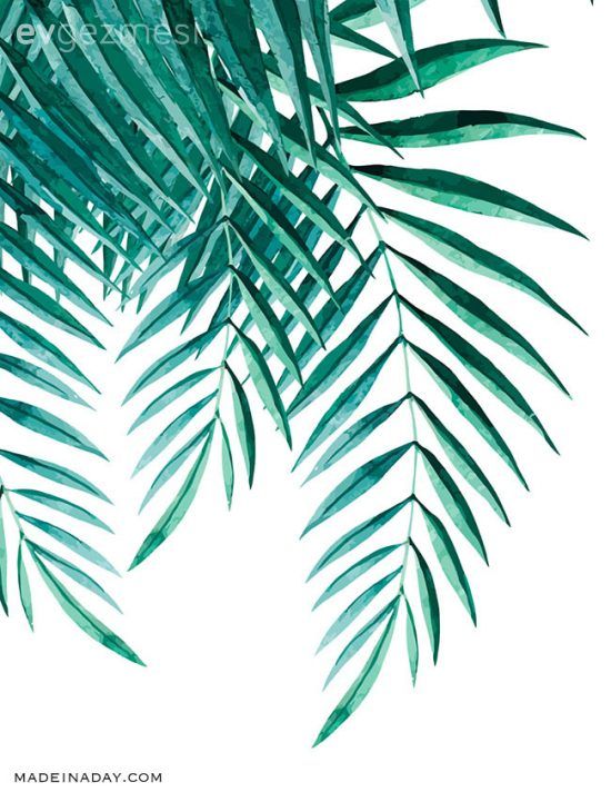 Bedava Botanik Posterlerden Eviniz İçin Tablo!