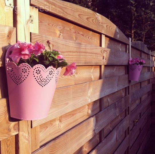 Bahçe, Çiçekler, Çiçeklik