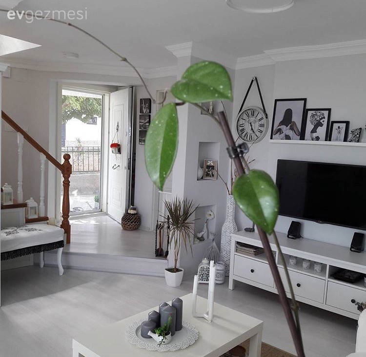 Beyaz, Salon, Tv ünitesi