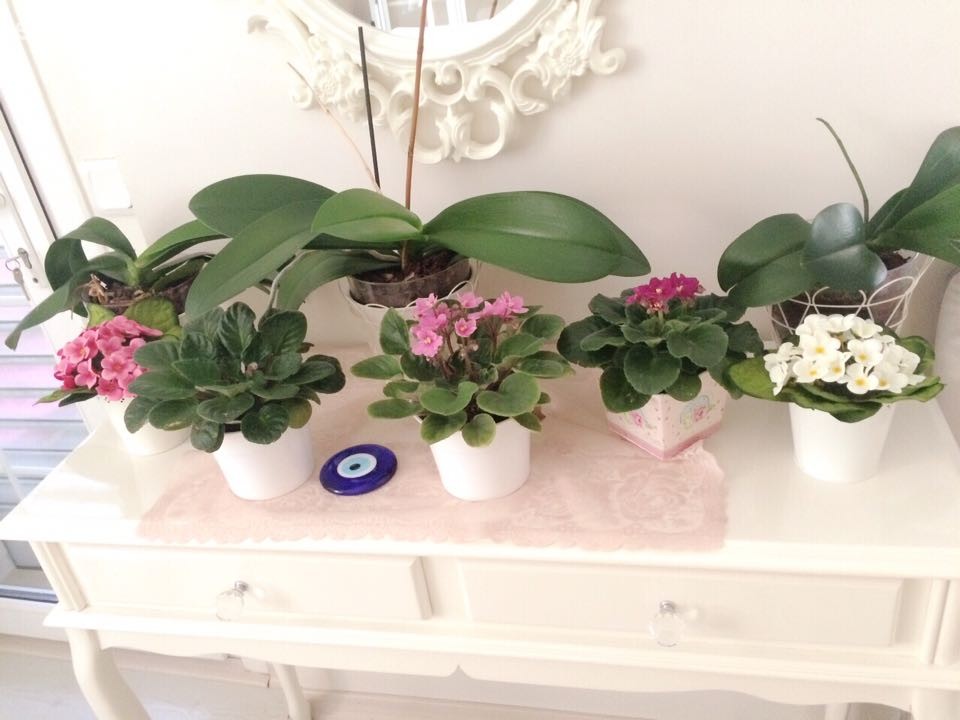 Songül hanımın pastel pembe tonları ile şekillenen tatlı evi..